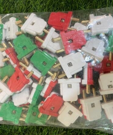 2 Pin Plug