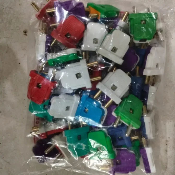 2 Pin Plug